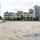 대전유평초교 이미지