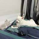 신곡코코약국 이미지