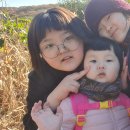 영선농장 이미지