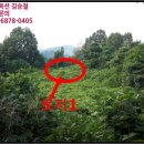 척문리 농로 1 | ☆이백면 토지(임야)경매(2018타경1340) ♣남원시 토지(임야)경매♠전북 남원시 이백면 척문리