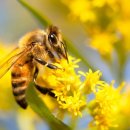 드림베이대로 이미지