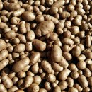 김유자농장 이미지