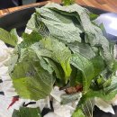 원조춘천닭갈비 | 청주 분평동 원조춘천닭갈비 방문 후기