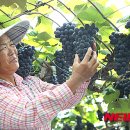 (주)영동환경산업 이미지