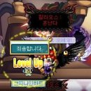지그나인 이미지