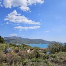 다숲민박 이미지