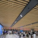 제이미니호텔 | 아이와 세부샹그릴라리조트 조식 수영장 비치 호텔 예약(제이파크리조트와 비교) 후기