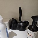 쉼터골 | [마곡 유기묘 쉼터] 따뜻한 사랑이 피어나는 곳, 퍼라운지(Purrlounge) 방문 후기 🐾