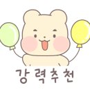 메모리독펜션