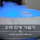 H0022 | 오야 안개 가습기 내돈내산 후기[초음파]