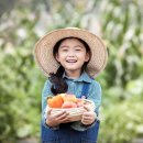 농업회사법인 허브 주식회사 이미지