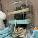 광토 | 0217 새해 복 많이 받으세요~!