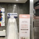 레이세븐빈