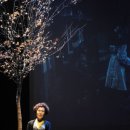 박정자의 낭독 콘서트 이미지