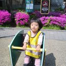 노해어린이공원 Daum카페