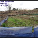 마제마을회관 이미지