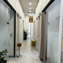 강남셀럽의원 이미지