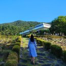 충청남도 산림박물관 | 세종 금강수목원 공주 산림박물관 자연휴양림 운영종료