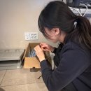 퍼스널 메이크업(주간) | 2025년 마무리 모음zip 스압주의!!