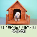 견상낙원 이미지