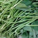 독천낭주골 이미지