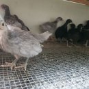 청계유통 이미지