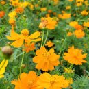 연천삼곶리돌무지무덤 이미지