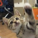 천사마트 이미지