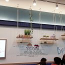 바푸리 쉬는시간 이미지