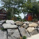 연어의추억 이미지