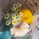 스튜디오 번외 : 한송이 꽃, 생화 헤어 장식(허브인러브플라워)