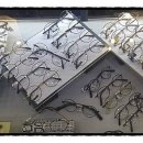 꾸오레안경원 이미지