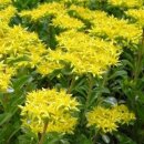 기린초등학교 이미지