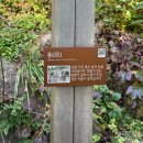 모노랩스 - 용인시 수지구 포은대로 552 | 2025 화담숲 실시간 단풍 현황 10/29 (수)ㅣ관람 순서, 화담채, 모노레일 후기