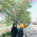 쓰김 네이버블로그