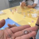 동평여자중학교 이미지