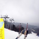 양지파인리조트 이미지