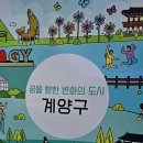 카페아라온
