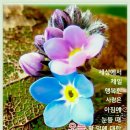 설레임처럼 이미지