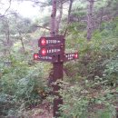 화원자연휴양림 이미지