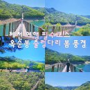 여행 옥순봉 출렁다리 입장료 청풍호 뷰 카페 안단테 야외 보라 테라스 포토존 주말 주차장 이용후기