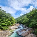 경남 산청 대원사 계곡길(2023.8.12)