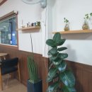 이지모비스 이미지