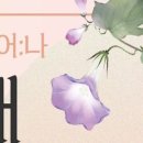 피어나플라워 - 서구 검단로744번1길 25 | 피어나플라워
