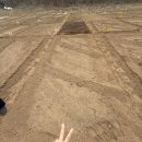 신월동174 | [신정주말농장] 왕초보농부 농장일기1탄 5평 텃밭자리보고 온 날