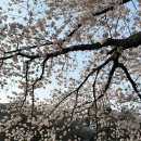 탄동천-2 이미지