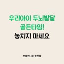 엄마랑 오감발달통합놀이 13-19개월 | 24개월 미만 우리 아이, 지금 브레인나우에서 시작해야 하는 이유