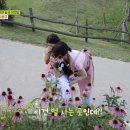 인디포레스트