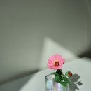 무지개한지공예 이미지
