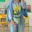 이솝플라워